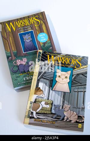 Les guerriers sont Manga Adventure Graphic Romans avec le personnage félin, Graystripe, USA, 2022 Banque D'Images