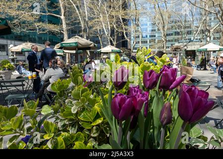 Bryant Park a de beaux paysages au printemps, New York City, USA 2022 Banque D'Images