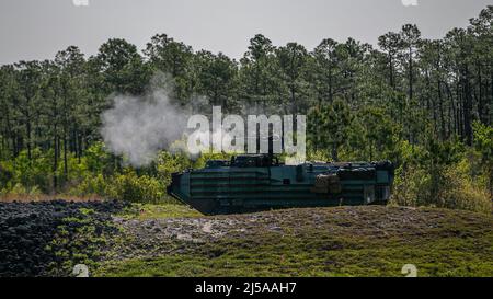 Marines des États-Unis avec 2D assaut Amphibian Battalion, 2D Marine Division, tirer une mitrailleuse M2 d'un véhicule à chenilles AAV7A1 lors d'une qualification d'opérations d'artillerie au niveau de l'équipage au Camp Lejeune, Caroline du Nord, le 20 avril 2022. Le but de cet exercice est de se familiariser et de soutenir les incendies avec un M2 afin de valider la facilité d’entretien de l’équipement et de développer la compétence en matière d’armes avant le déploiement de l’unité pour la formation. (É.-U. Photo du corps marin par lance Cpl. Ryan Ramsammy) Banque D'Images