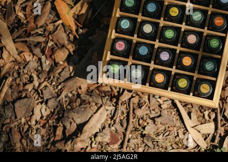 Vue de haut en bas des bouteilles d'huile essentielles dans une boîte de rangement en bois avec des autocollants de bouchon colorés Banque D'Images
