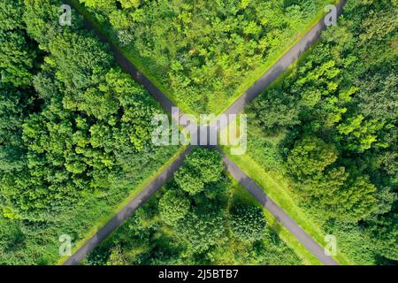 Bochum, Rhénanie-du-Nord-Westphalie, Allemagne - Walter-Lohmann-Ring, une piste cyclable d'environ 650m de long, une piste d'entraînement pour cyclistes, au projet Banque D'Images