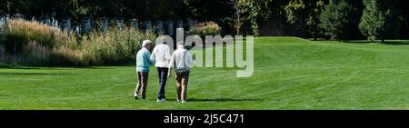 vue arrière des amis interraciaux senior marchant sur le terrain vert avec des clubs de golf, bannière Banque D'Images
