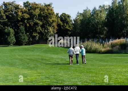 vue arrière des amis interraciaux âgés marchant sur le terrain vert avec des clubs de golf Banque D'Images