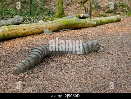 Sculpture en bois de la Centipede géante, Plas Power Park/Woods, Coedpoeth, pays de Galles Banque D'Images