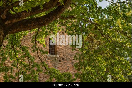 Tour Dona et tour Grimaldi : les deux tours anciennes de Rovigo en Italie Banque D'Images