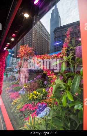 The Macy's Spring Flower Show 2022, Midtown Manhattan New York City, États-Unis Banque D'Images