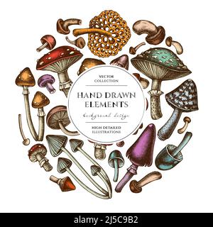 Motif couronne de champignons de la forêt. Champignons dessinés à la main, mouche agarique, bleu, etc Illustration de Vecteur