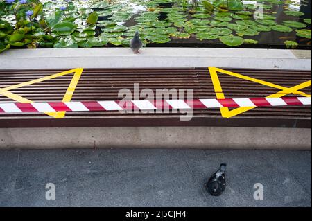 05.05.2020, Singapour, République de Singapour, Asie - depuis l'introduction de mesures de protection contre le coronavirus (Covid-19), d'autres mesures de précaution ont été mises en œuvre dans les zones publiques, Y compris la fermeture des terrains de jeux et le cordoning hors des places assises comme dans cette photo prise à côté du Musée ArtScience à Marina Bay. Il y a un étang de nénuphars en face du musée. [traduction automatique] Banque D'Images