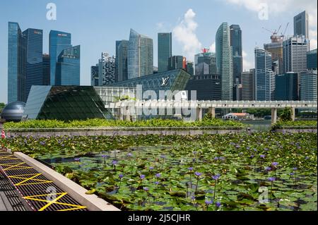 05.05.2020, Singapour, République de Singapour, Asie - vue sur la ligne d'horizon avec les gratte-ciels du quartier des affaires de Marina Bay et un étang de nénuphars en premier plan. Depuis l'introduction des mesures visant à briser le circuit afin de combattre le coronavirus (Covid-19), d'autres mesures de précaution ont été mises en œuvre dans les zones publiques, y compris le bouclage des aires de repos et la fermeture des terrains de jeux. [traduction automatique] Banque D'Images