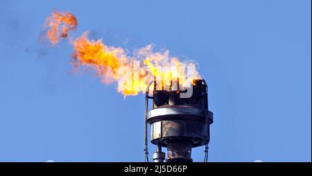 'Schwedt, 7 mars 2022 - l'excès de gaz issu de la transformation du pétrole brut à PCK-Raffinerie GmbH, à Schwedt, est incinéré. La raffinerie PCK est alimentée en pétrole brut de Russie par le pipeline ''Friendship''. En raison de la guerre en Ukraine, une interdiction des importations de pétrole brut et de gaz russes est envisagée. [traduction automatique]' Banque D'Images