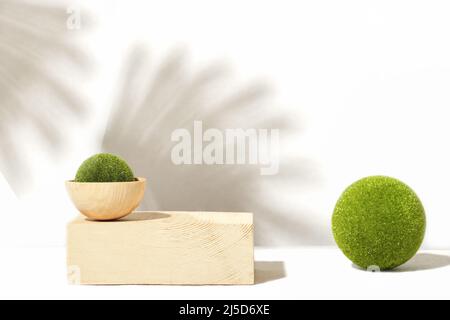 podium en bois pour le placement cosmétique ou cosmétique d'auto-soin. socle géométrique, maquette de mousse verte, paume d'été laisse des ombres Banque D'Images