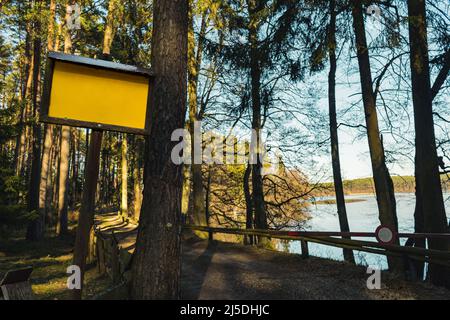 Panneau Wodden avec espace de copie vide au milieu de la forêt. Affiche de couleur marron foncé et fond jaune vif placée dans la forêt Banque D'Images