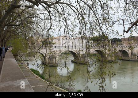 Arbres suspendus au-dessus du Tibre en direction de Ponte Saint Angelo à Rome, Italie Banque D'Images