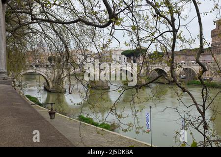 Arbres suspendus au-dessus du Tibre en direction de Ponte Saint Angelo à Rome, Italie Banque D'Images