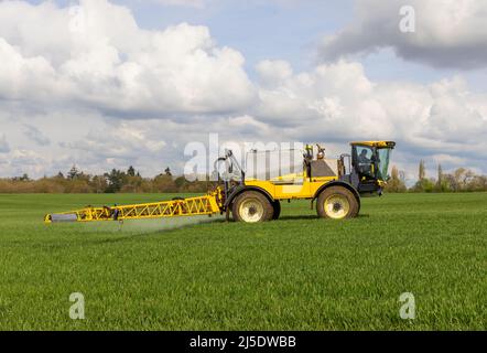 Agriculteur utilisant un pulvérisateur automoteur dans un champ au début du printemps. Hertfordshire, Royaume-Uni Banque D'Images