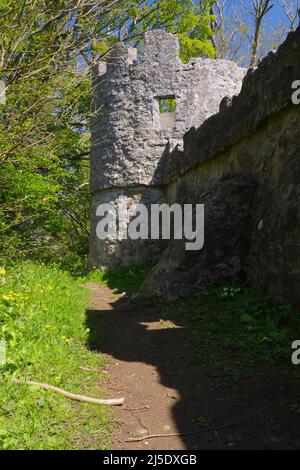 Aberlleiniog Château, Anglesey, au nord du Pays de Galles, Banque D'Images