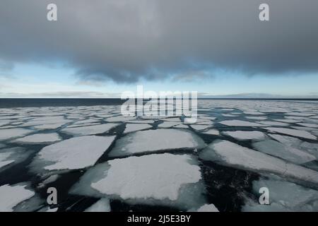 Glace de mer dans la mer de Barents près de Franz Josef Land en été Banque D'Images