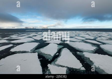 Glace de mer dans la mer de Barents près de Franz Josef Land en été Banque D'Images