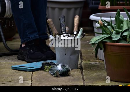 Photos de jardin génériques montrant une truelle et une fourchette, une préparation de sol de jardin de printemps ou de début d'été ou un semis de graines Banque D'Images