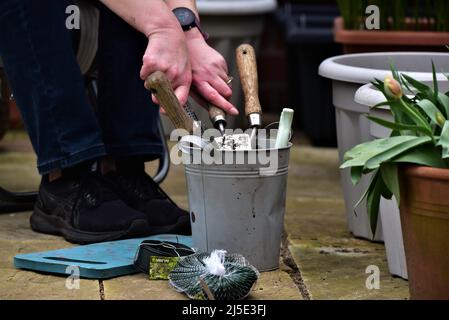 Photos de jardin génériques montrant une truelle et une fourchette, une préparation de sol de jardin de printemps ou de début d'été ou un semis de graines Banque D'Images