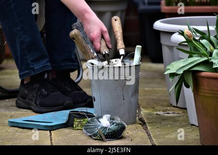 Photos de jardin génériques montrant une truelle et une fourchette, une préparation de sol de jardin de printemps ou de début d'été ou un semis de graines Banque D'Images