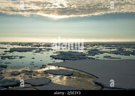 Glace de mer dans la mer de Barents près de Franz Josef Land en été Banque D'Images