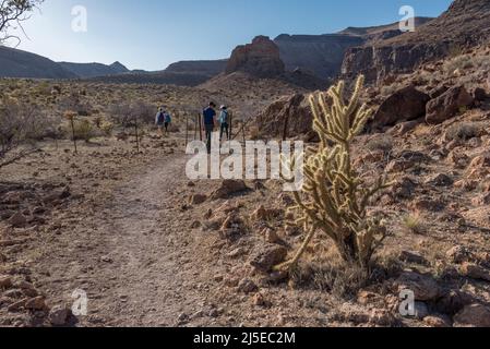 Les anneaux d'escalade aident les randonneurs à monter une voie étroite dans un canyon à créneaux de la réserve nationale de Mojave sur le sentier de la boucle de anneaux, une randonnée familiale. Banque D'Images