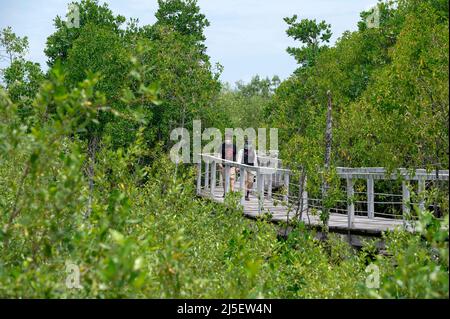 Johor Bahru, Malaisie. 19th avril 2022. Les visiteurs marchent près des mangroves du parc national de Tanjung Piai Johor, dans l'État de Johor, Malaisie, le 19 avril 2022. POUR ALLER AVEC "Feature: Conservation de la mangrove, une mission de sauver la Terre" Credit: Chong Voon Chung/Xinhua/Alay Live News Banque D'Images
