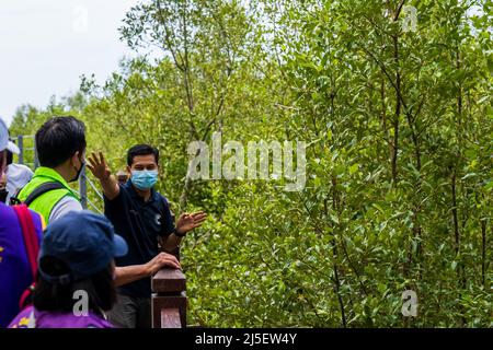Johor Bahru, Malaisie. 19th avril 2022. Andik Idris Munabak Bin Andik Burhanudin (R), assistant de la faune au parc national de Tanjung Piai Johor, présente les mangroves aux visiteurs du parc de l'État de Johor, en Malaisie, le 19 avril 2022. POUR ALLER AVEC "Feature: Conservation de la mangrove, une mission de sauver la Terre" Credit: Zhu Wei/Xinhua/Alamy Live News Banque D'Images