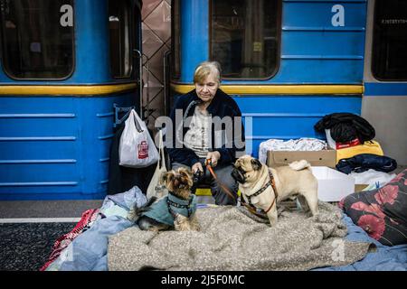 19 avril 2022, Kharkiv, Kharkivs''ka Oblast', Ukraine: Une femme vue avec ses chiens dans une station de métro. Les citoyens de Kharkiv ont été contraints d’adopter une nouvelle vie sous terre dans les stations de métro, alors que la deuxième plus grande ville d’Ukraine est aujourd’hui confrontée à une menace constante de bombardements et de frappes aériennes russes. (Image de crédit : © Alex Chan TSZ Yuk/SOPA Images via ZUMA Press Wire) Banque D'Images