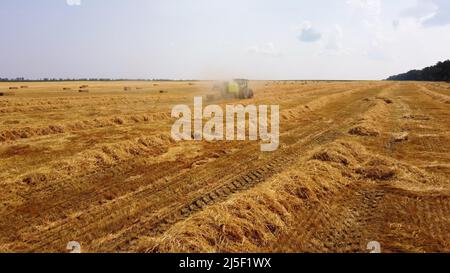 Tracteur à balles de foin. Le tracteur moissonne du foin en balles dans le champ par beau temps. Banque D'Images