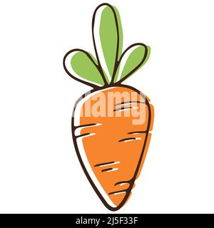 Carotte dessinée à la main dans le style dessin animé pour les affiches, la recette, le design culinaire, le design de pâques, les cartes de vœux, imprimer. Isolé sur blanc. Motif de couleur Illustration de Vecteur