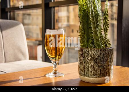 Verre de bière sur une table ensoleillée. Une délicieuse bière en verre. Banque D'Images