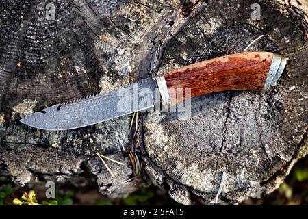 Couteau de chasse acier damas sur fond de forêt gros plan Banque D'Images