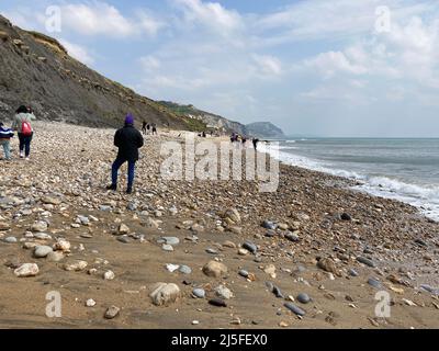 West Beach et des gens qui chassent pour des fossiles sur la célèbre côte jurassique, Charmouth, Dorset, Angleterre Banque D'Images