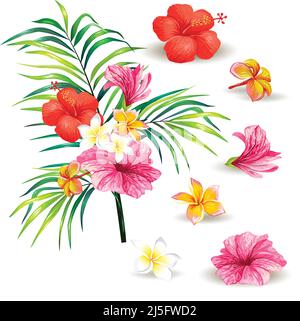 Illustration vectorielle d'une branche réaliste d'un palmier tropical avec des fleurs d'hibiscus isolées sur fond blanc. Imprimé tropical, modèle, Illustration de Vecteur