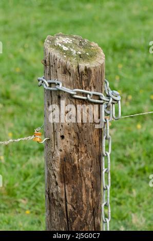 Chaîne enroulée autour d'un poteau de clôture électrique en bois dans un pâturage dans la campagne Banque D'Images