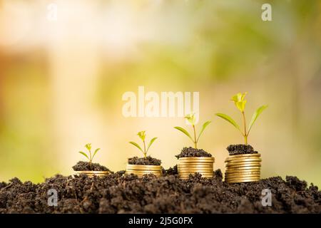 Les arbres poussent sur des pièces de monnaie sur le terrain, l'argent pousse, finance et idées d'investissement. Banque D'Images