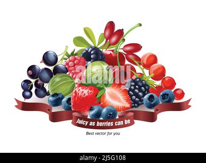 Illustration vectorielle d'un mélange de baies fraîches, fraises, framboises, bleuets, raisins de Corinthe, groseilles à maquereau, mûres, cerises, goji isolé o Illustration de Vecteur