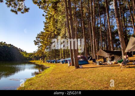 Parc national de Pang Oung, lac et forêt de pins à Mae Hong son, Thaïlande Banque D'Images