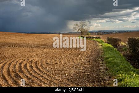 Ciel spectaculaire avec front de tempête sur un champ labouré et une haie éclairés. Banque D'Images