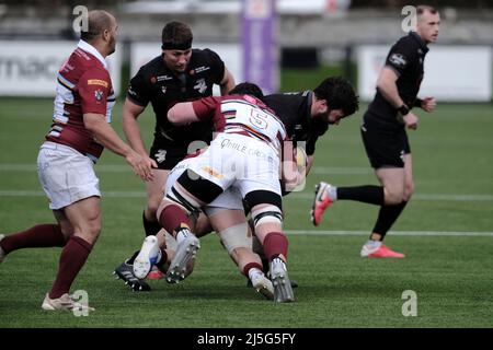 Melrose, Royaume-Uni. 23rd avril 2022. Melrose, samedi 23 avril 2022. Série FOSROC Super6 Sprint Southern Knight vs Watsoniens à Greenyards, Melrose. Gros colles des visiteurs Watsoniens contre l'attaque des Chevaliers du Sud (image Credit: Rob Gray/Alamy Live News Banque D'Images