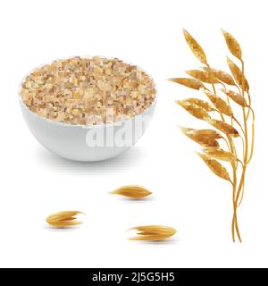 Vector 3D oreilles d'avoine réalistes, grains avec bol blanc. Plante céréalière détaillée, agriculture biologique. Flocons d'avoine, kit de flocons d'avoine isolé sur fond blanc Illustration de Vecteur