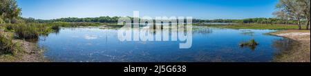 Panorama du lac Holathlikaha au parc national de fort Cooper - Inverness, Floride, États-Unis Banque D'Images