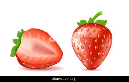 Fraises mûres rouges réalistes, entières et à moitié isolées sur fond. Fruits d'été naturels, baies juteuses au goût sucré. Ingrédient pour juic Illustration de Vecteur