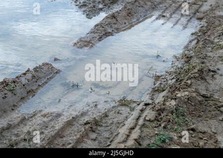 Trace de grosses roues de voiture sur route, flaque de boue. Masse Banque D'Images