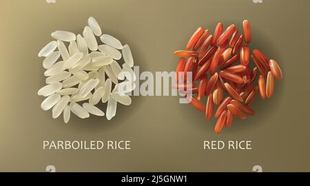 Deux poignées de riz blanc à la coque et de riz rouge, isolées sur fond marron, vecteur réaliste. Alimentation saine, nourriture végétarienne, élément de conception Illustration de Vecteur