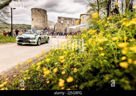 Au cours du rallye Croatie 2022, 3rd tour du Championnat du monde de voitures de rallye WRC 2022, du 21 au 24 avril 2022 à Zagreb, Croatie - photo Nikos Katikis / DPPI