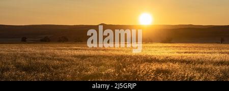 Namibie, panorama du coucher de soleil sur le désert du Namib, paysage sauvage dans la vallée morte Banque D'Images