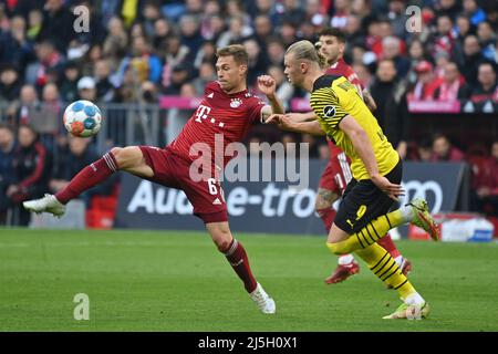 Munich, Allemagne. 23rd avril 2022. Joshua KIMMICH (FC Bayern Munich), action, duels contre Erling HAALAND (DO). Football 1st saison Bundesliga 2021/2022, 31.match, matchday31. FC Bayern Munich-Borussia Dortmund le 9th avril 2022, ALLIANZARENA Munich. Credit: dpa/Alay Live News Banque D'Images